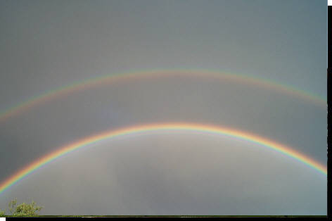 Der Bogen �ber dem Forst